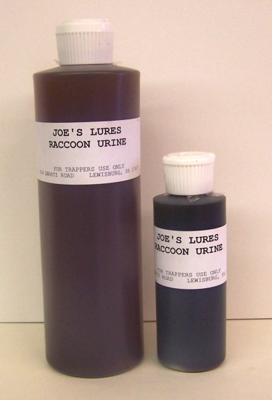 Raccoon Urine
